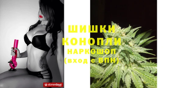 МДПВ Осташков