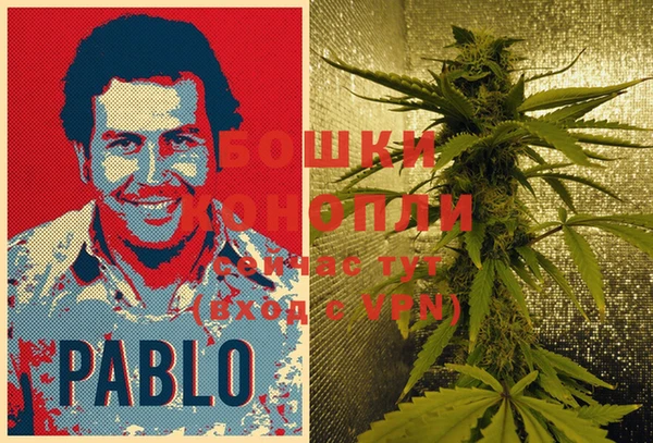 МДПВ Осташков
