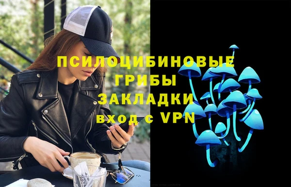 прущие грибы Алзамай